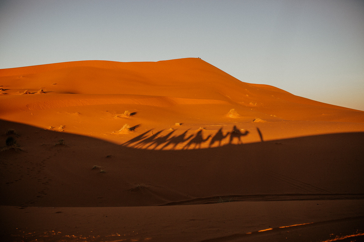 Sahara desert. Головна