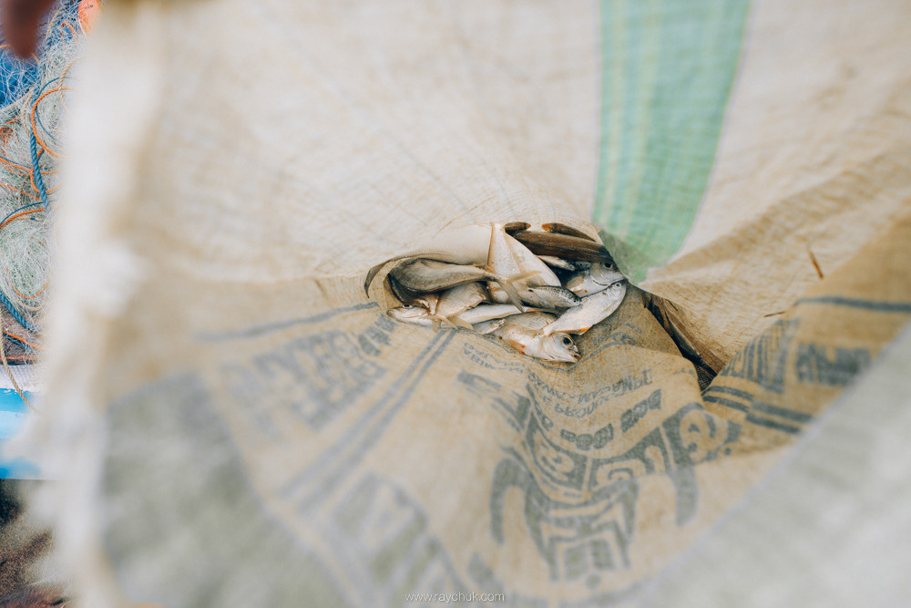 Sri Lanka. Головна