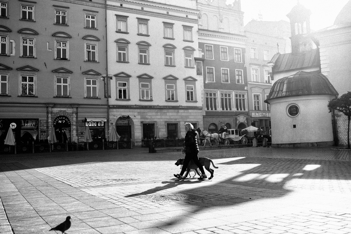 Poland. Krakow. Головна