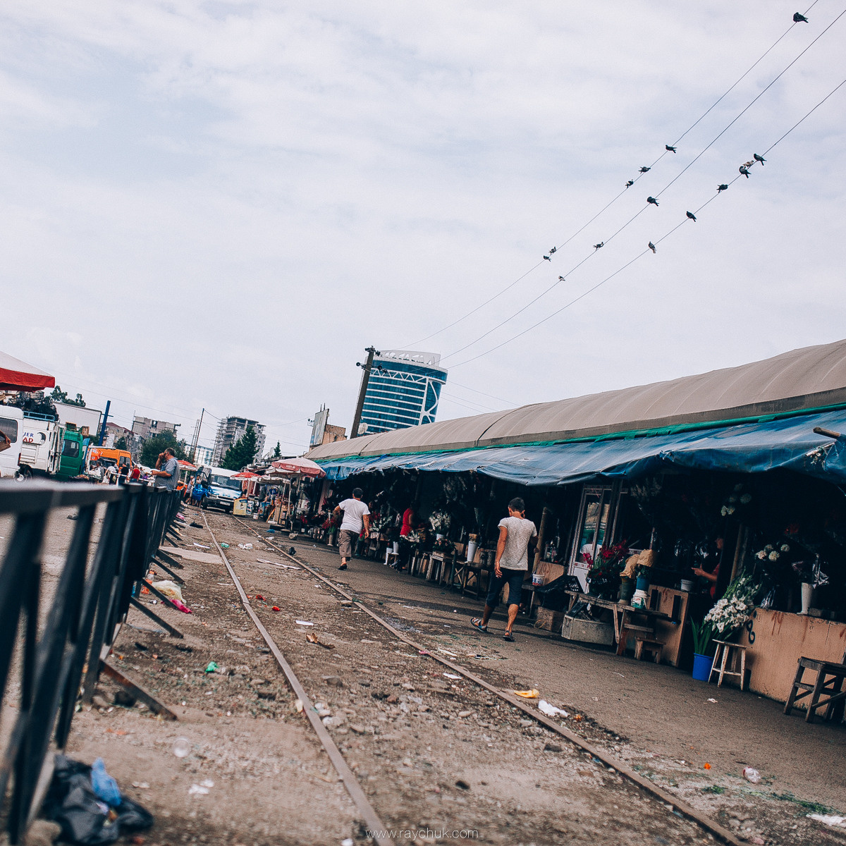 Georgia. Головна