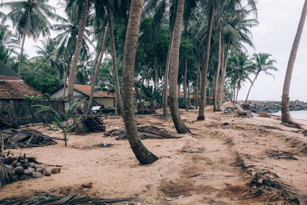 Sri Lanka. Головна