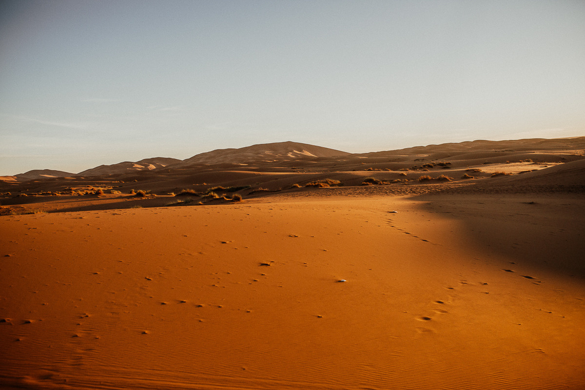 Sahara desert. Головна