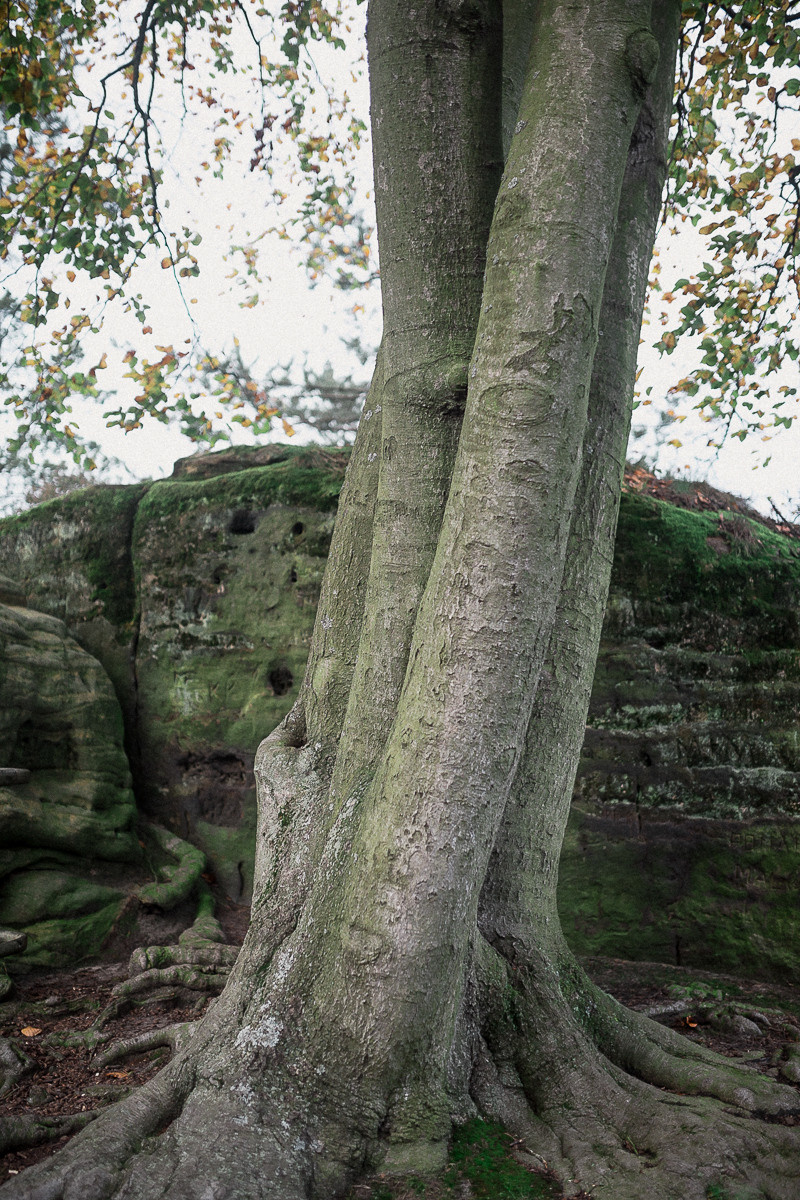 Germany. Lohmen. Головна