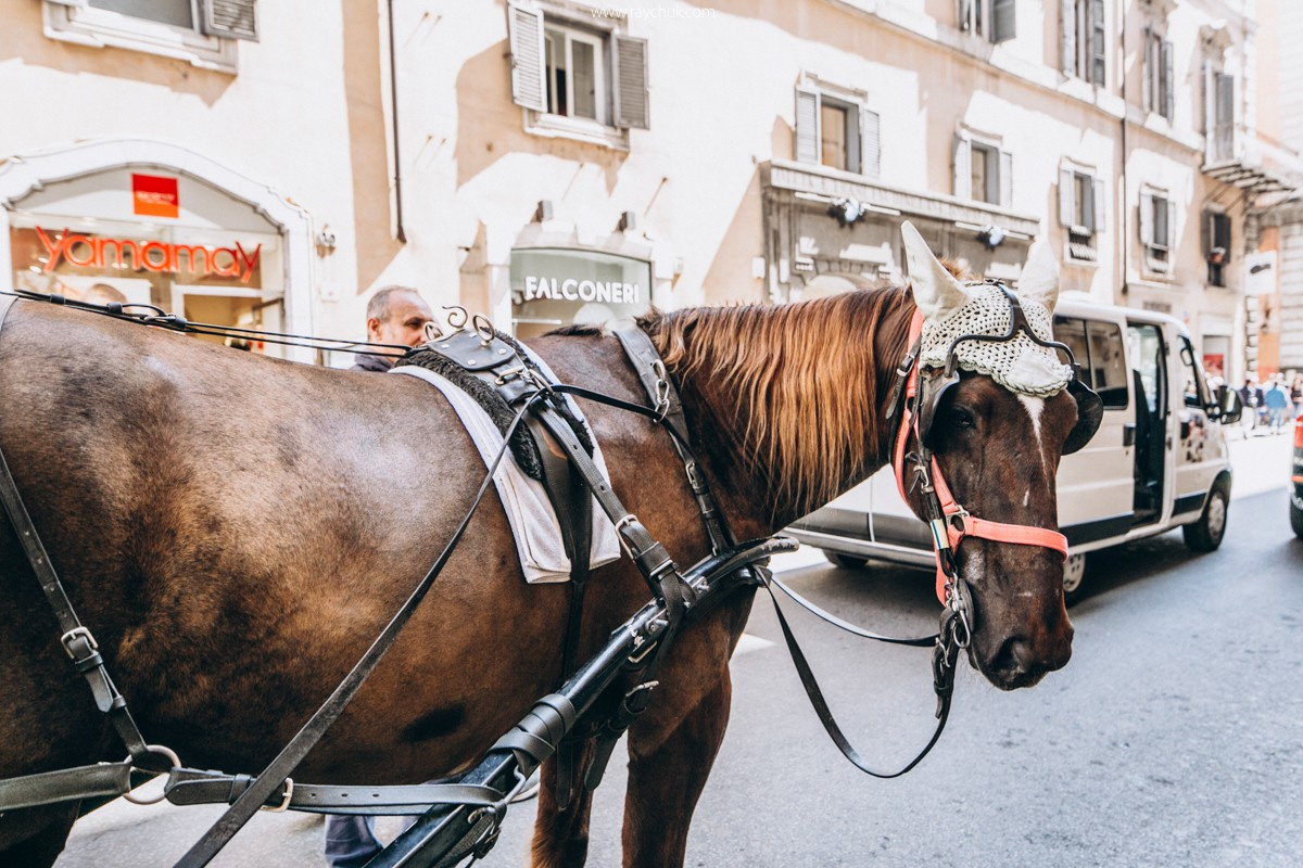 Italy. Romе. Головна
