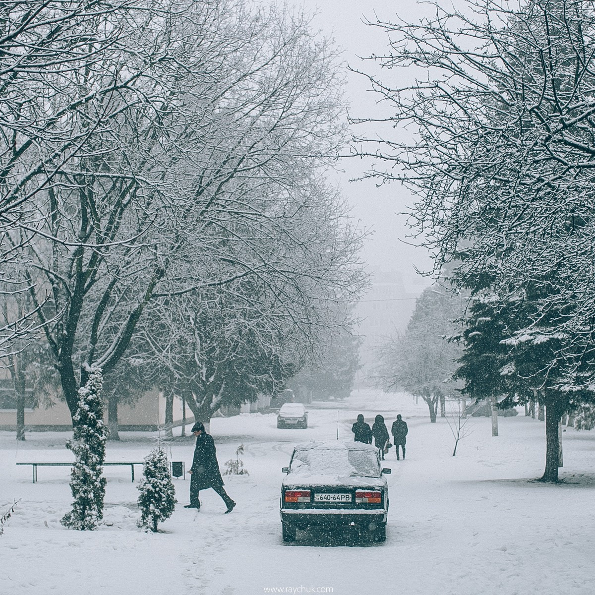 Report №8. Головна