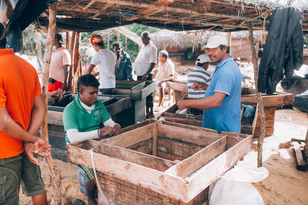 Sri Lanka. Головна