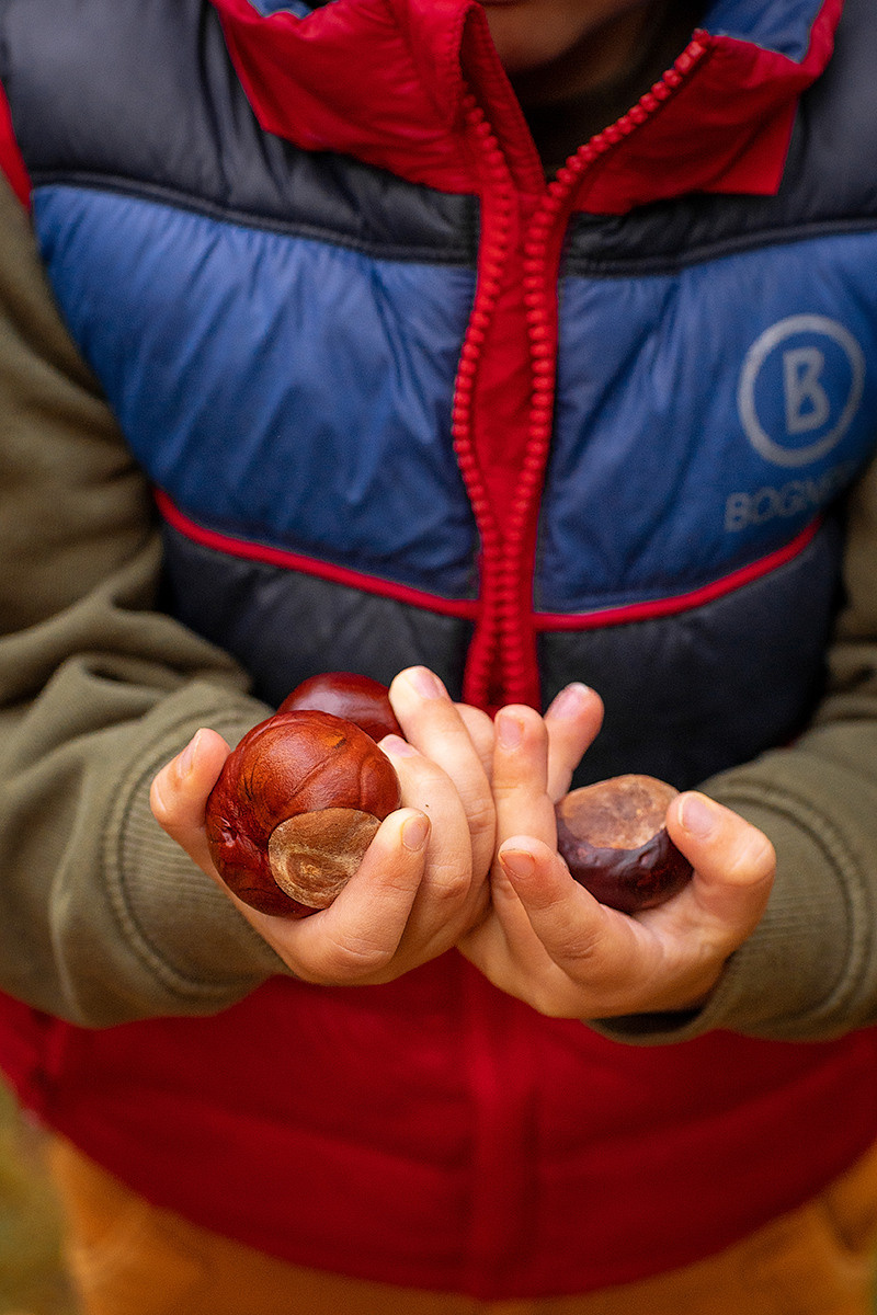 Осення сьемка для Алены. Ваш семейный фотограф в Харькове Ольга Маринцева