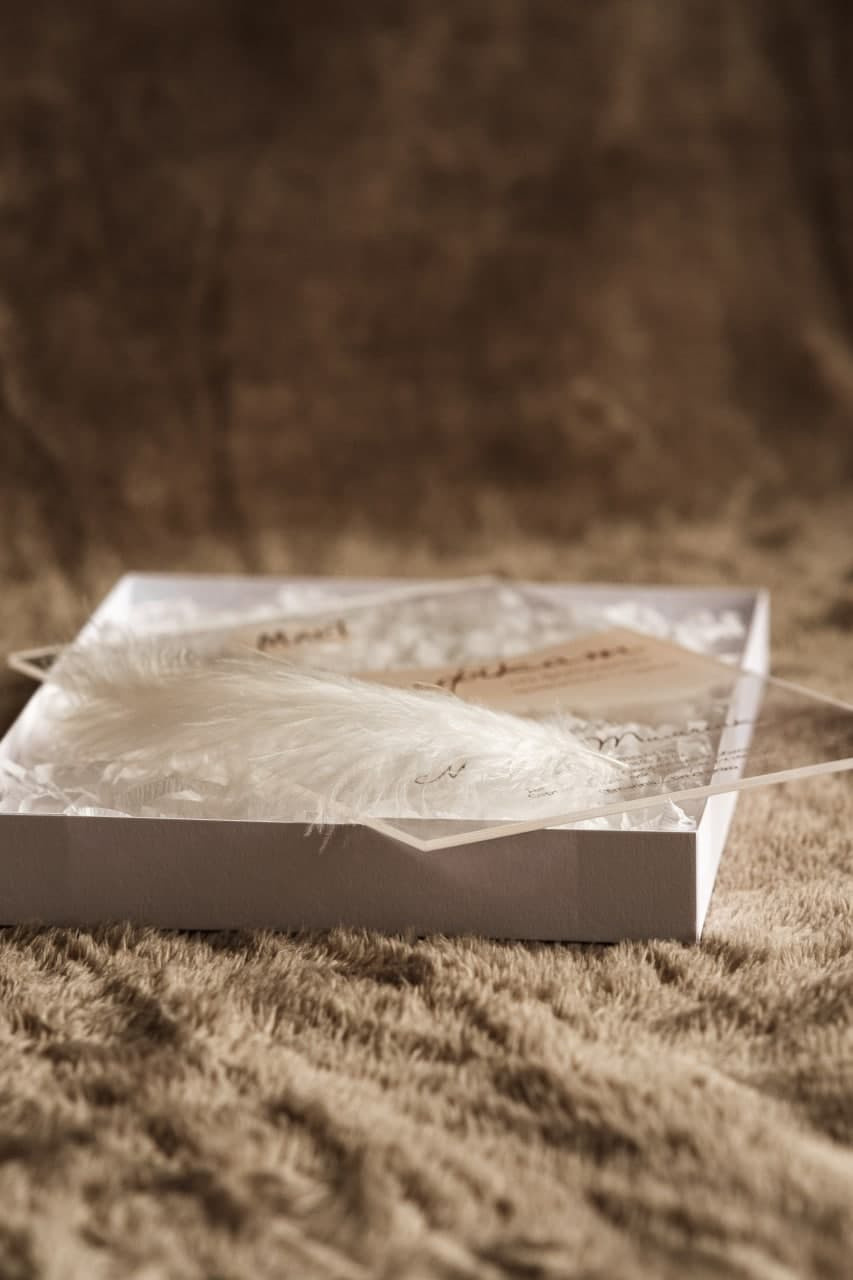 Сертифікати. Марина Тимченко. Фотограф. Житомир