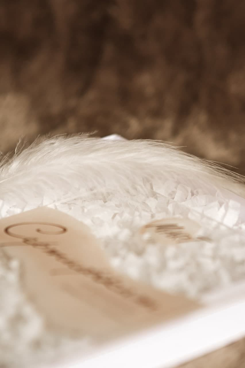 Сертифікати. Марина Тимченко. Фотограф. Житомир