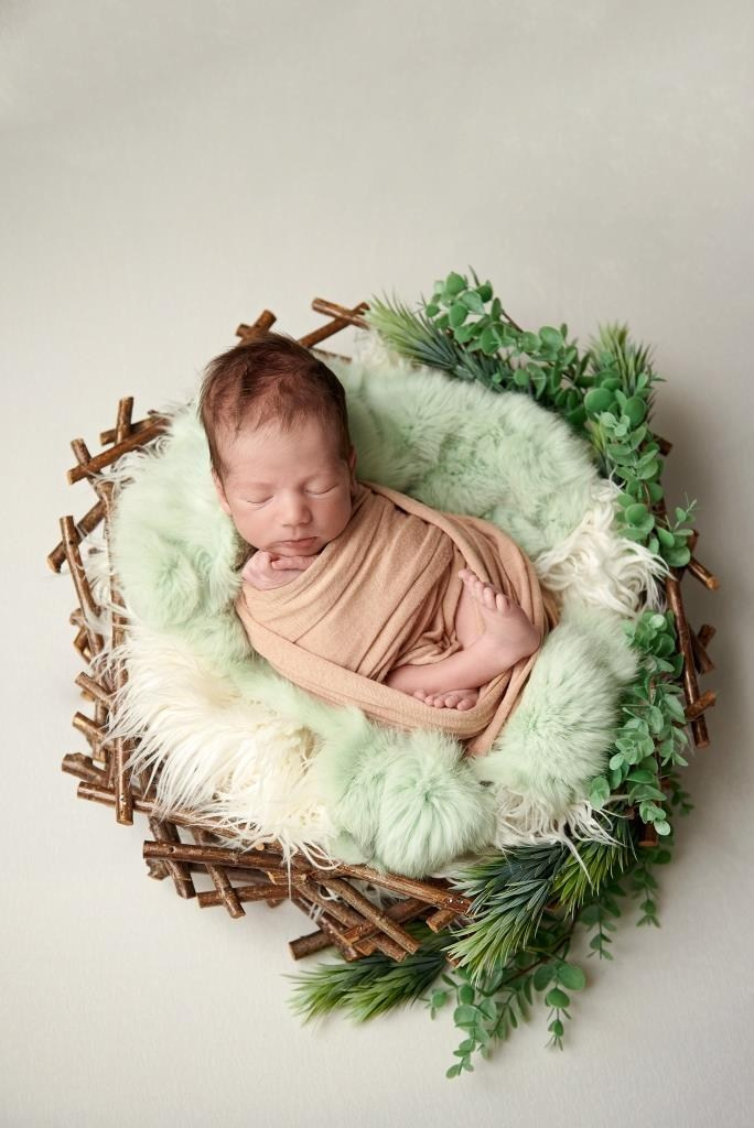 Гніздечко. Фотограф новонароджених діток та їх сімей в Тернополі