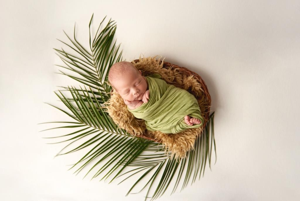 Зелень. Фотограф новонароджених діток та їх сімей в Тернополі
