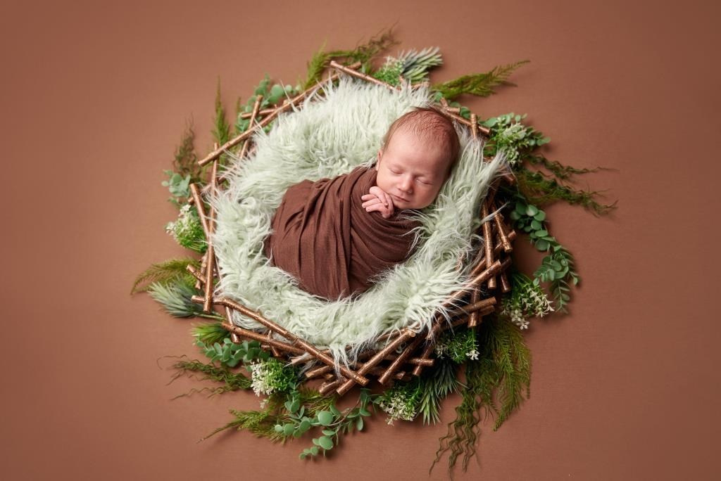 Гніздечко. Фотограф новонароджених діток та їх сімей в Тернополі