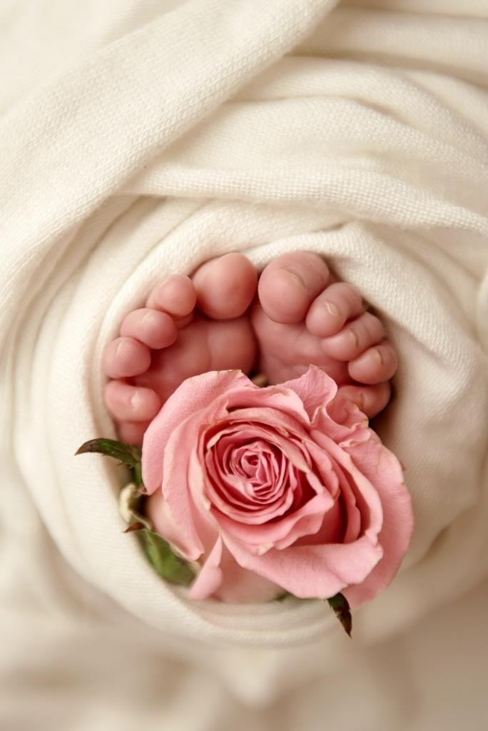Квіти. Фотограф новонароджених діток та їх сімей в Тернополі