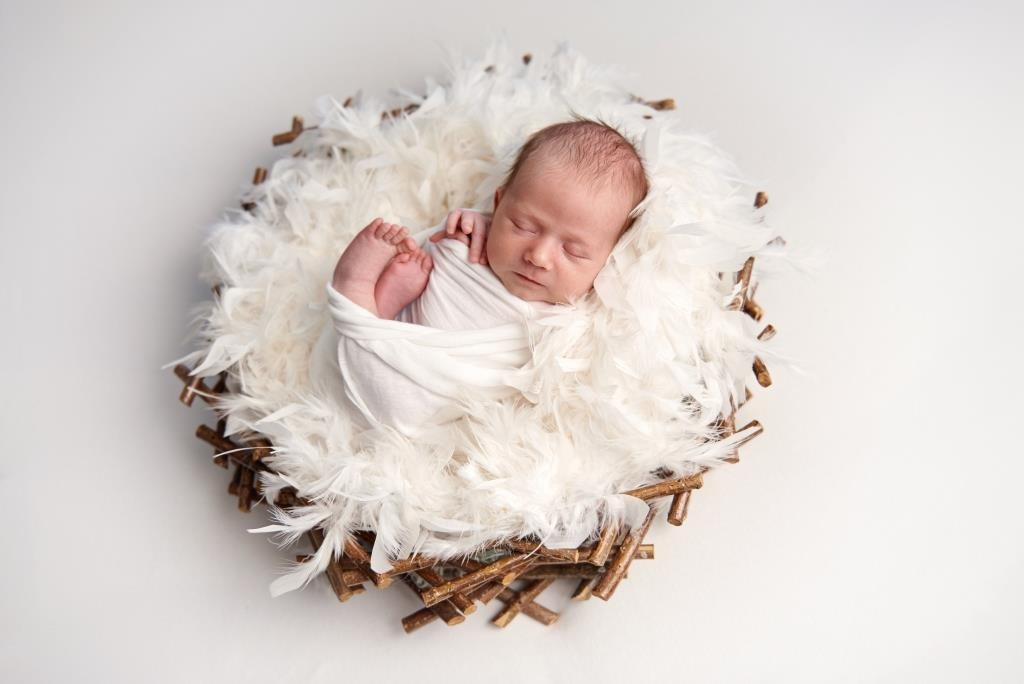 Гніздечко. Фотограф новонароджених діток та їх сімей в Тернополі