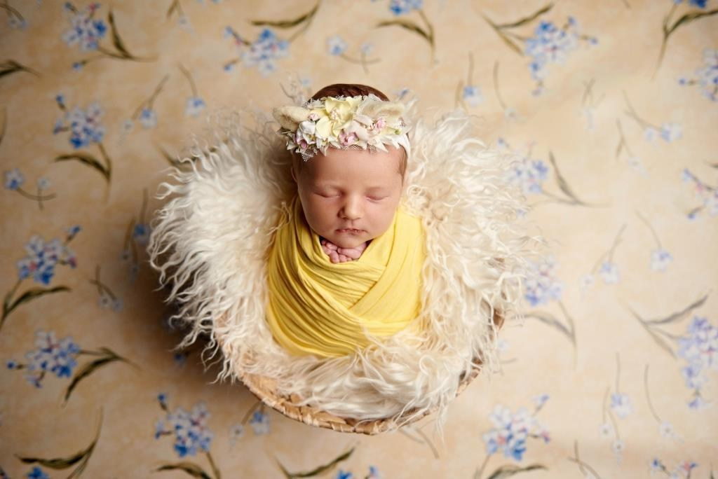 Корзини. Фотограф новонароджених діток та їх сімей в Тернополі