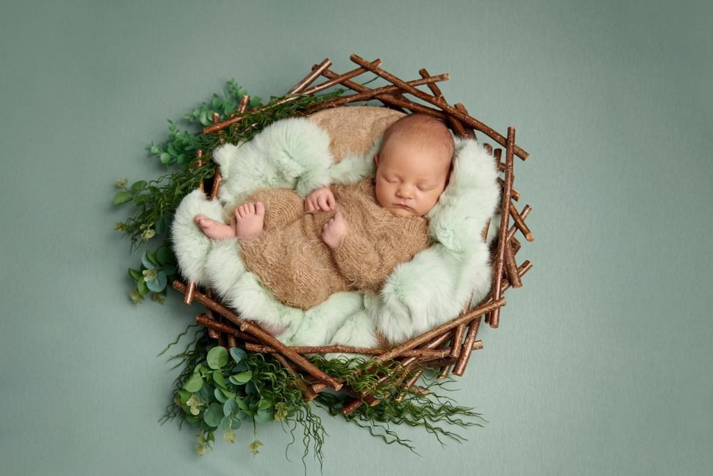 Гніздечко. Фотограф новонароджених діток та їх сімей в Тернополі