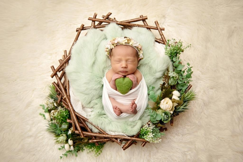 Гніздечко. Фотограф новонароджених діток та їх сімей в Тернополі
