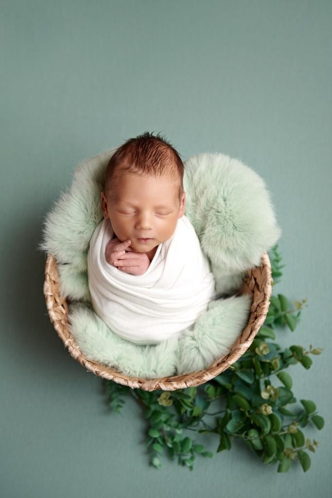 Зелень. Фотограф новонароджених діток та їх сімей в Тернополі