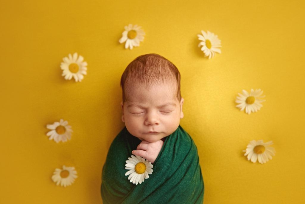 Квіти. Фотограф новонароджених діток та їх сімей в Тернополі