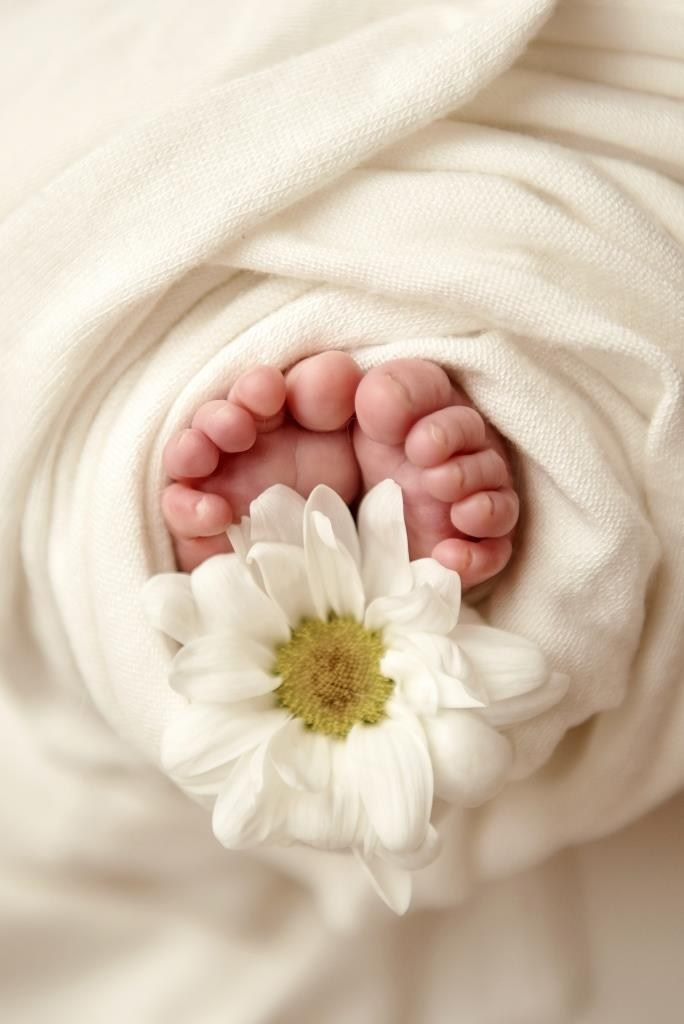 Квіти. Фотограф новонароджених діток та їх сімей в Тернополі