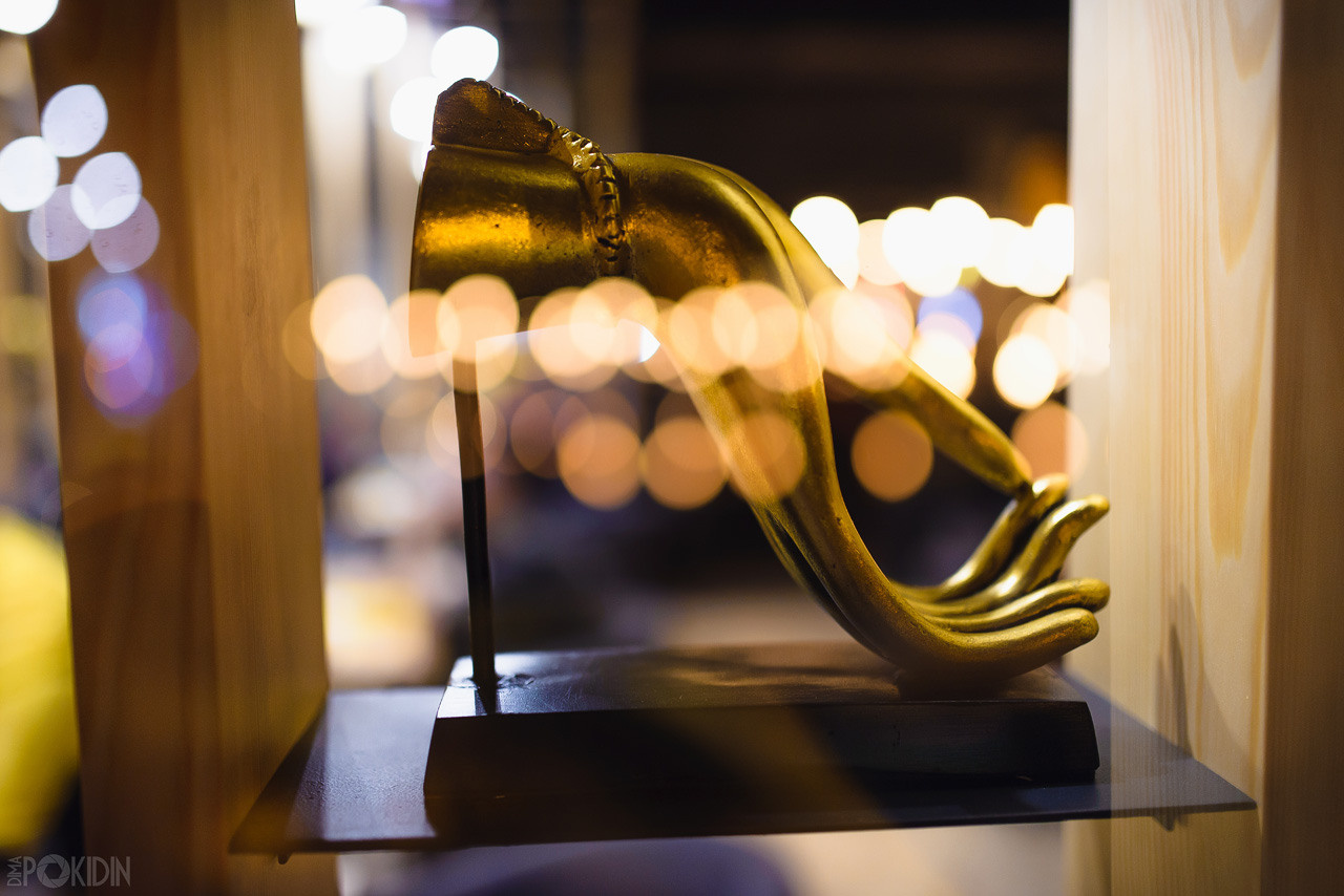 Съемка мероприятий Днепра. Фотограф Дніпро