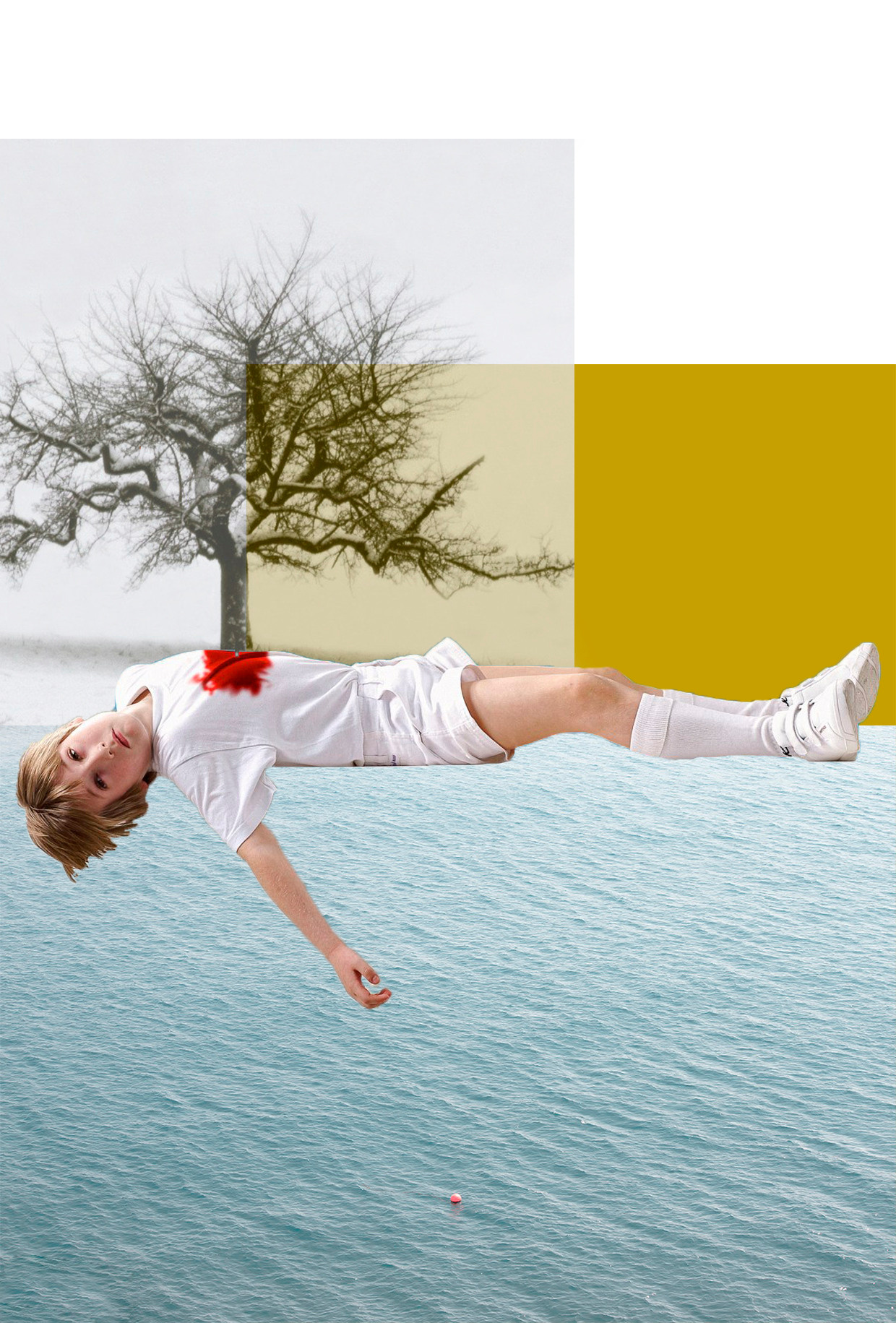 Collage. Photographer in Israel Luba Ternavskaya