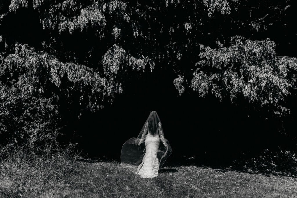 Essence. Luviar by Mihai Andrei Popa