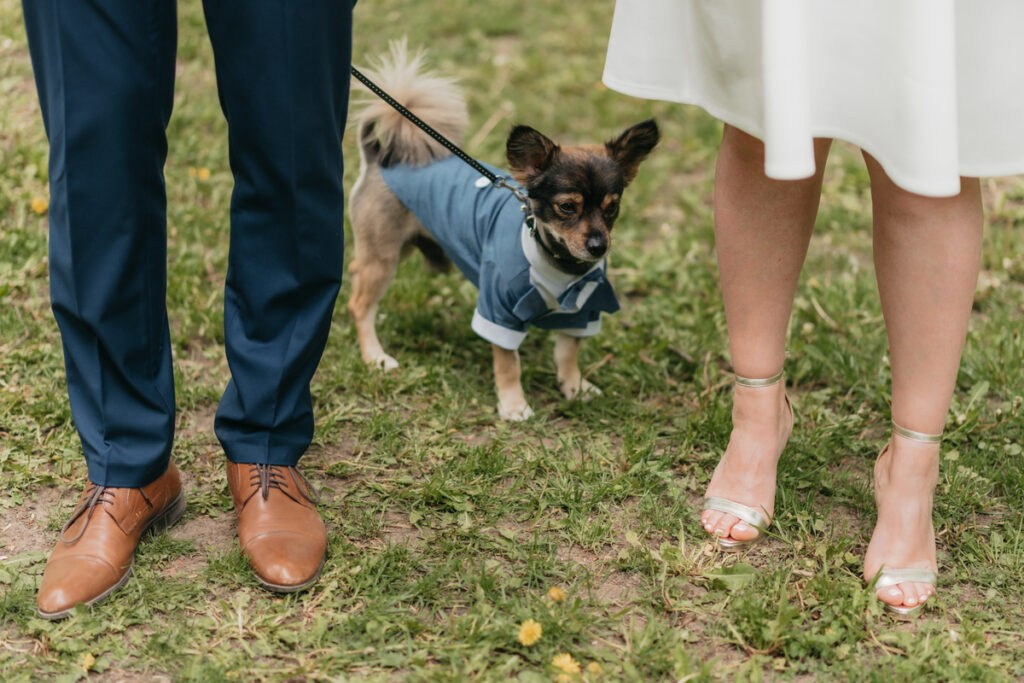 Essence. Luviar by Mihai Andrei Popa