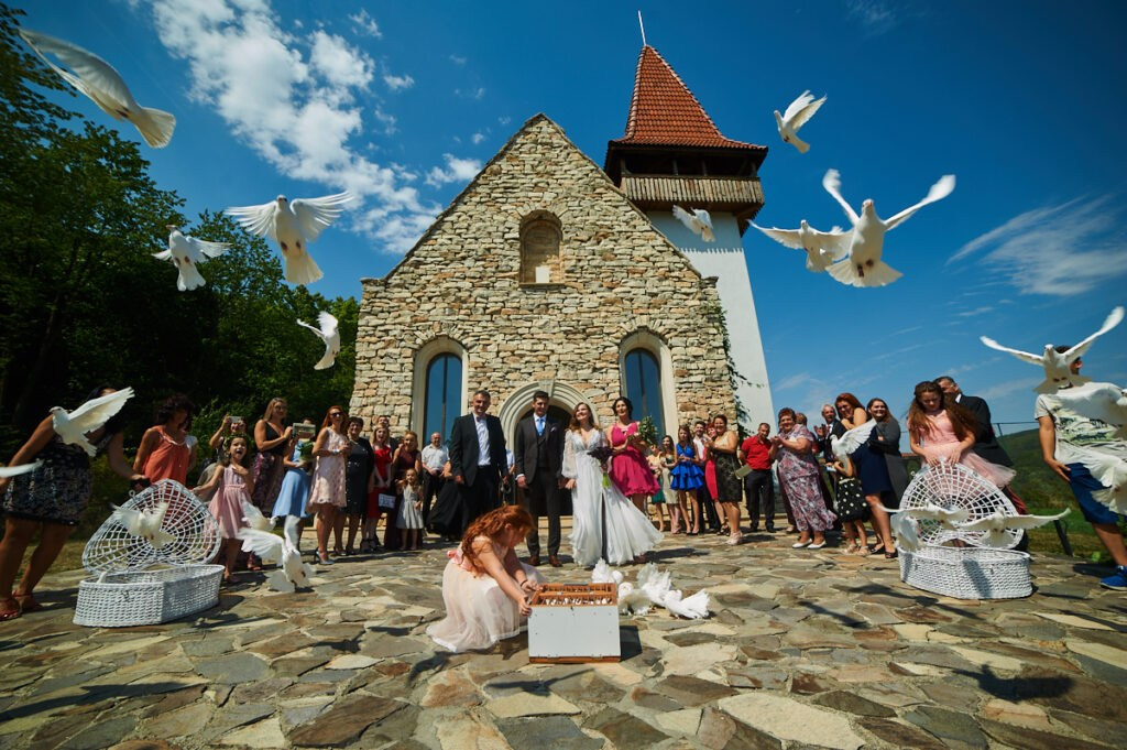 Essence. Luviar by Mihai Andrei Popa