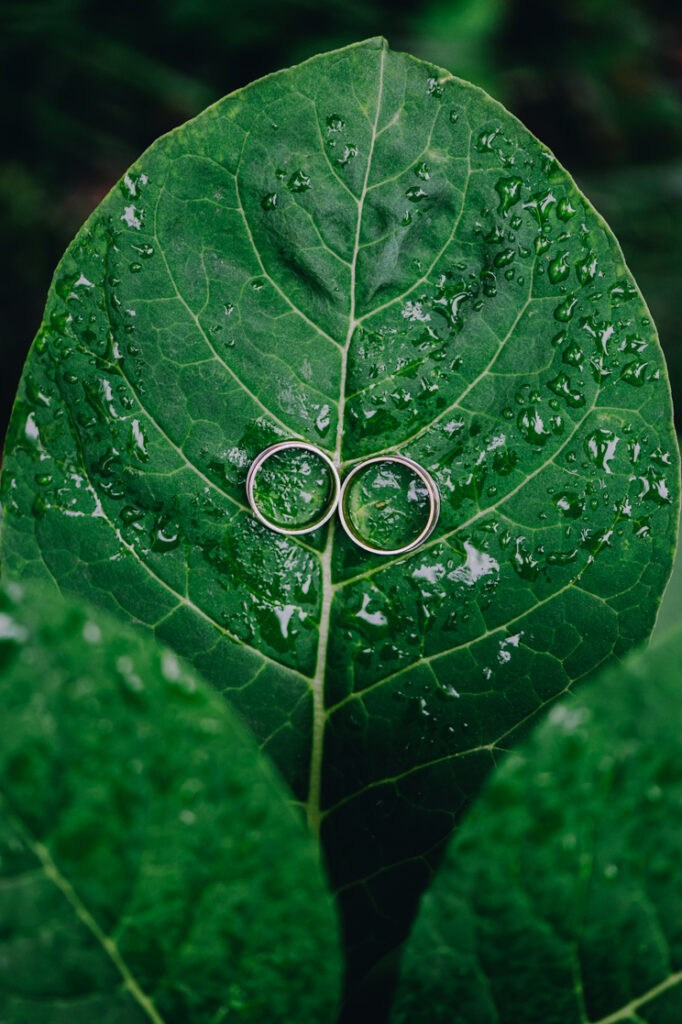 Essence. Luviar by Mihai Andrei Popa