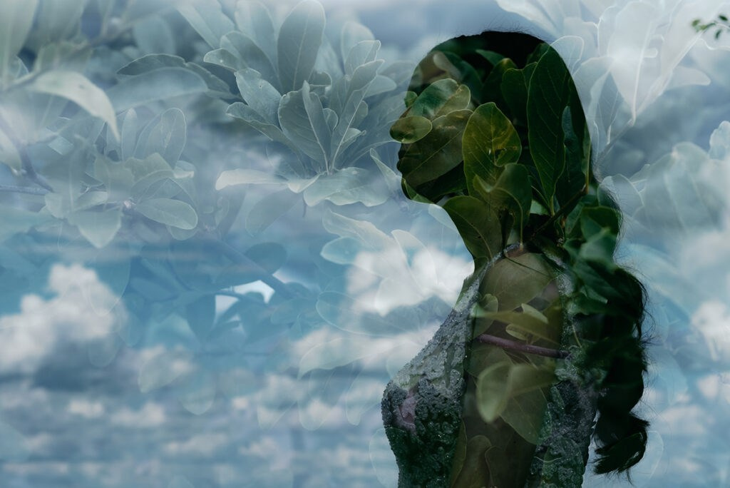 Essence. Luviar by Mihai Andrei Popa