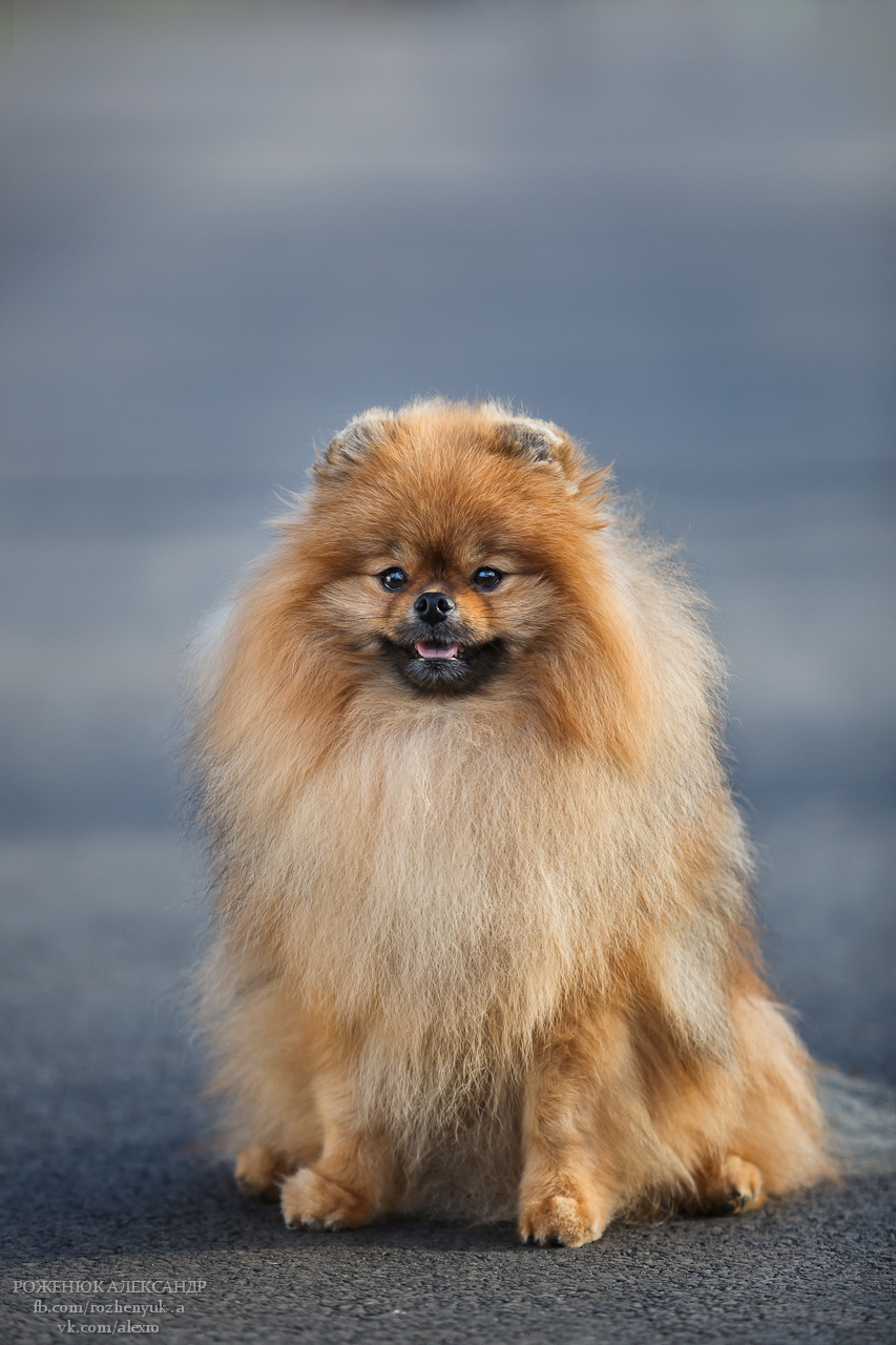 Portraits. Business events, portraits and architecture photographer in Ukraine and Europe