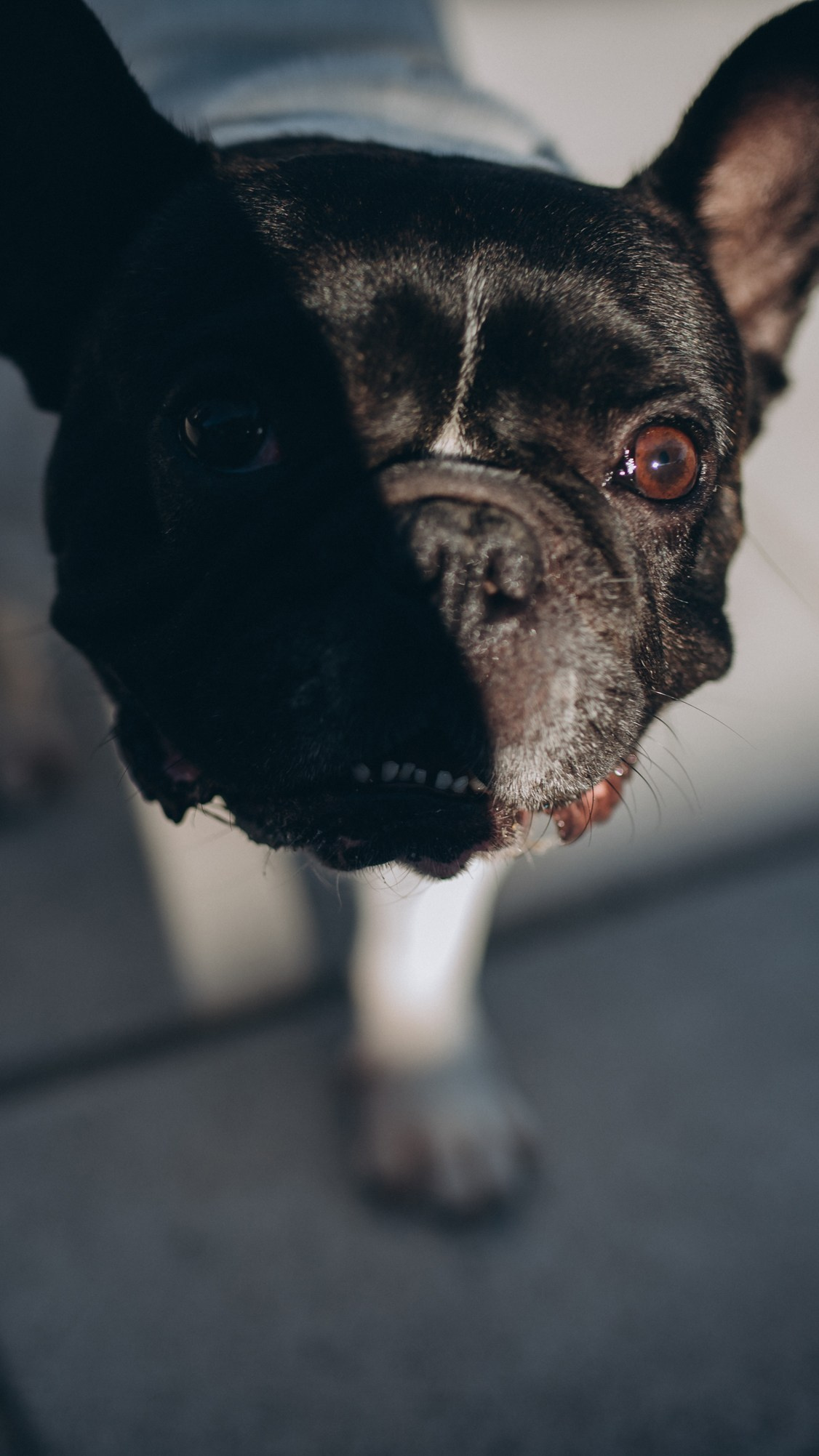 COMPLEANNO DI GIORGIA. Ciao, benvenuta! Sono Anastasia la vostra fotografa per il matrimonio