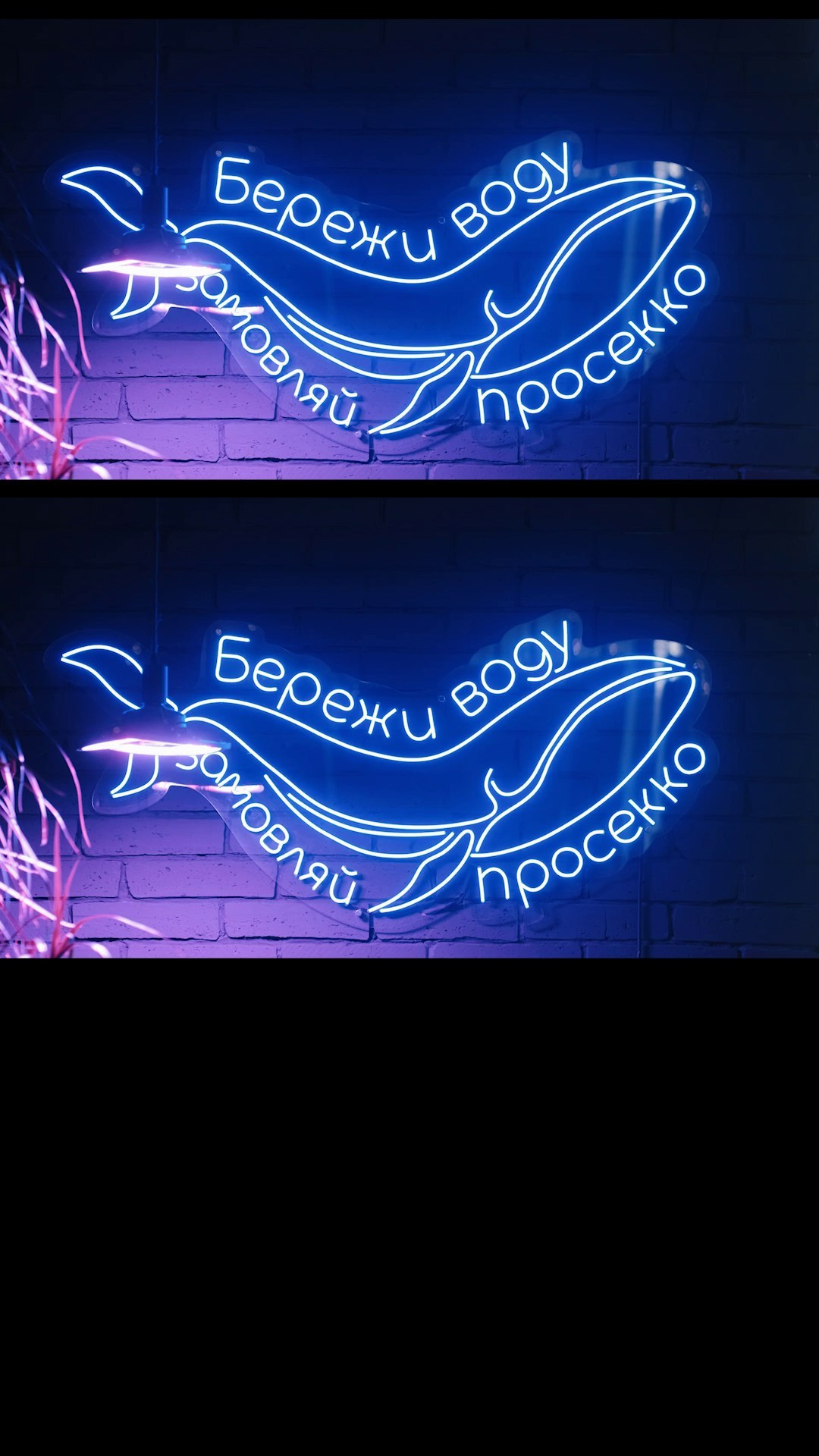 Зйомка для бізнесів та експертів. Відеозйомка весіль та свят