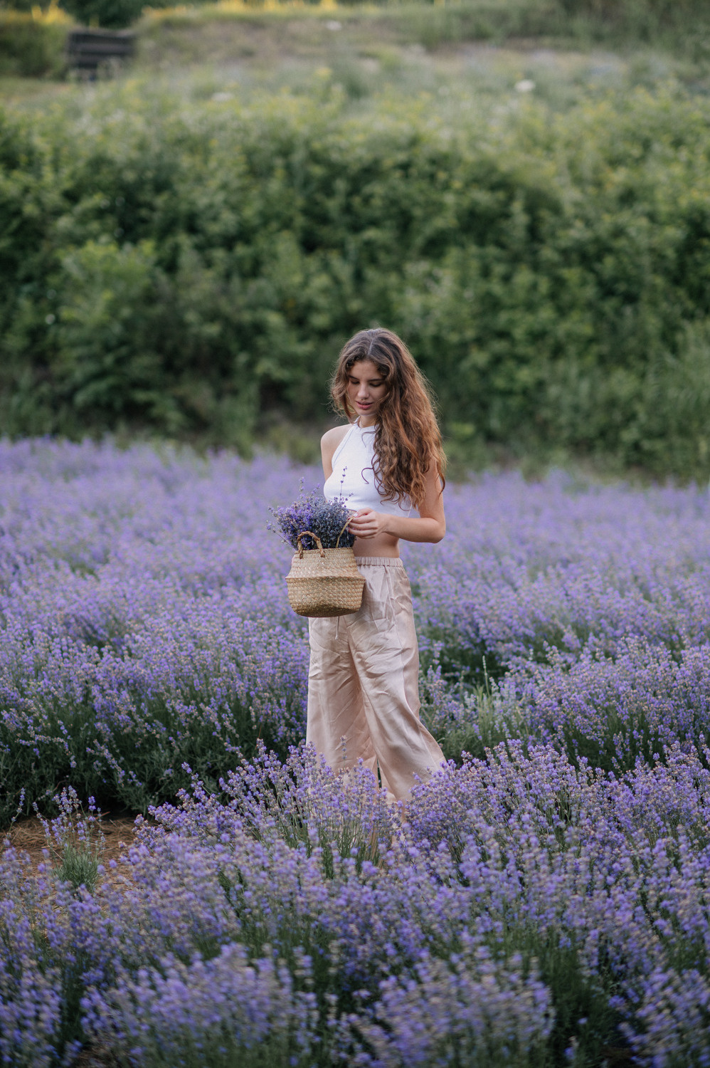 Lavender inspiration. Портретний та контент фотограф Київ