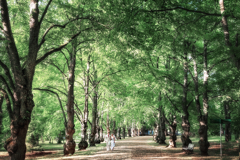 A&T. Свадебный, детский, семейный фотограф Илона Николаева в Эстонии