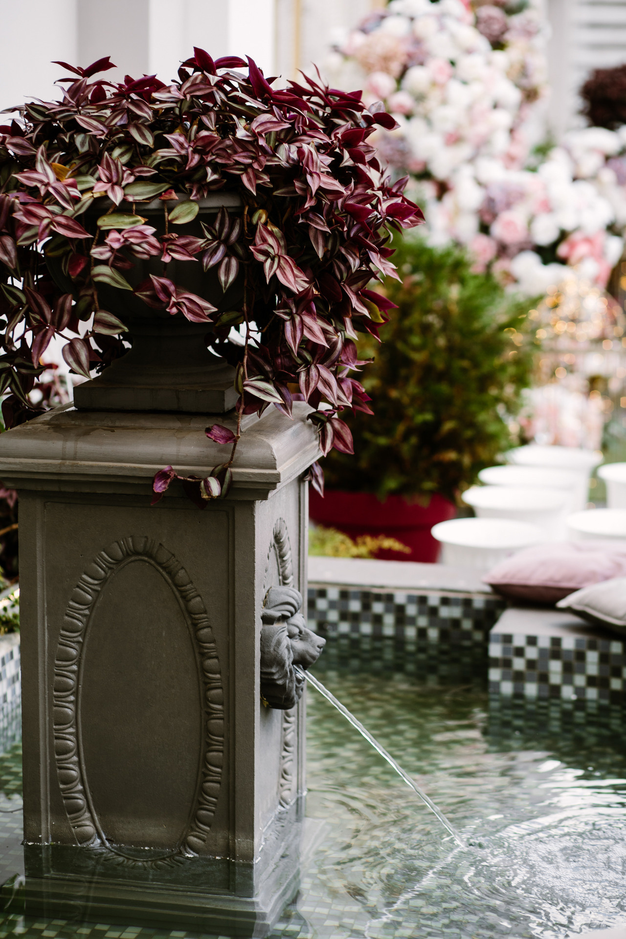 Настя + Денис