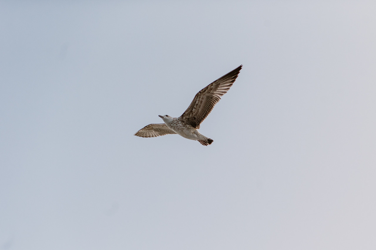 Андрій та Люда