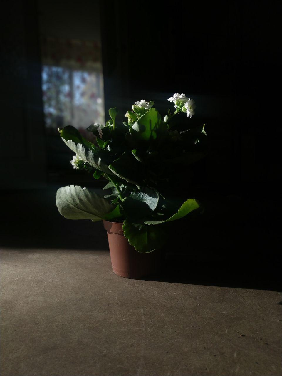 Світло В[Кадрі] 7.0. Every moment is special!