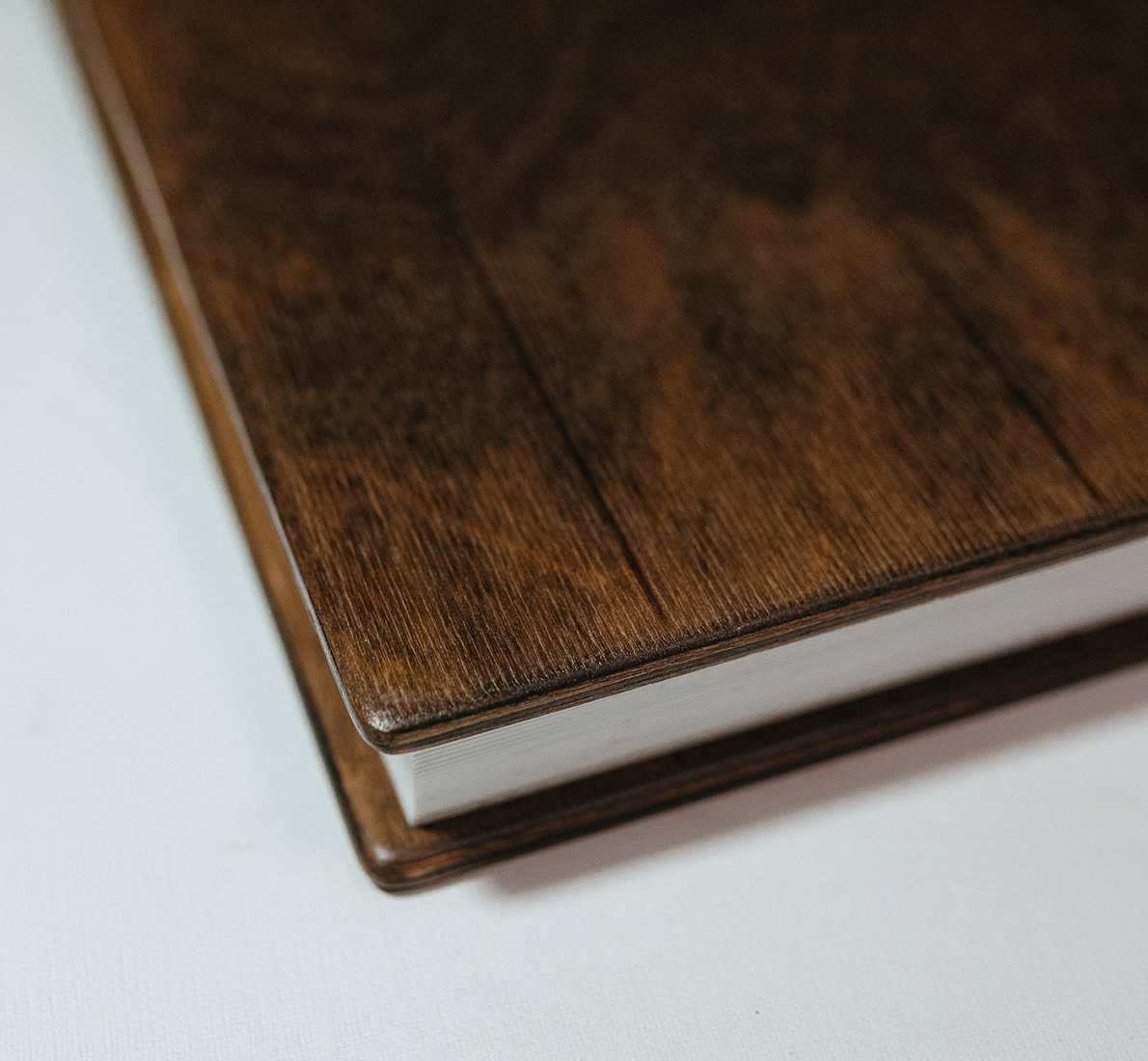 Серия Премиум. Весільний та сімейний фотограф у Запоріжжі Юлія Васьків