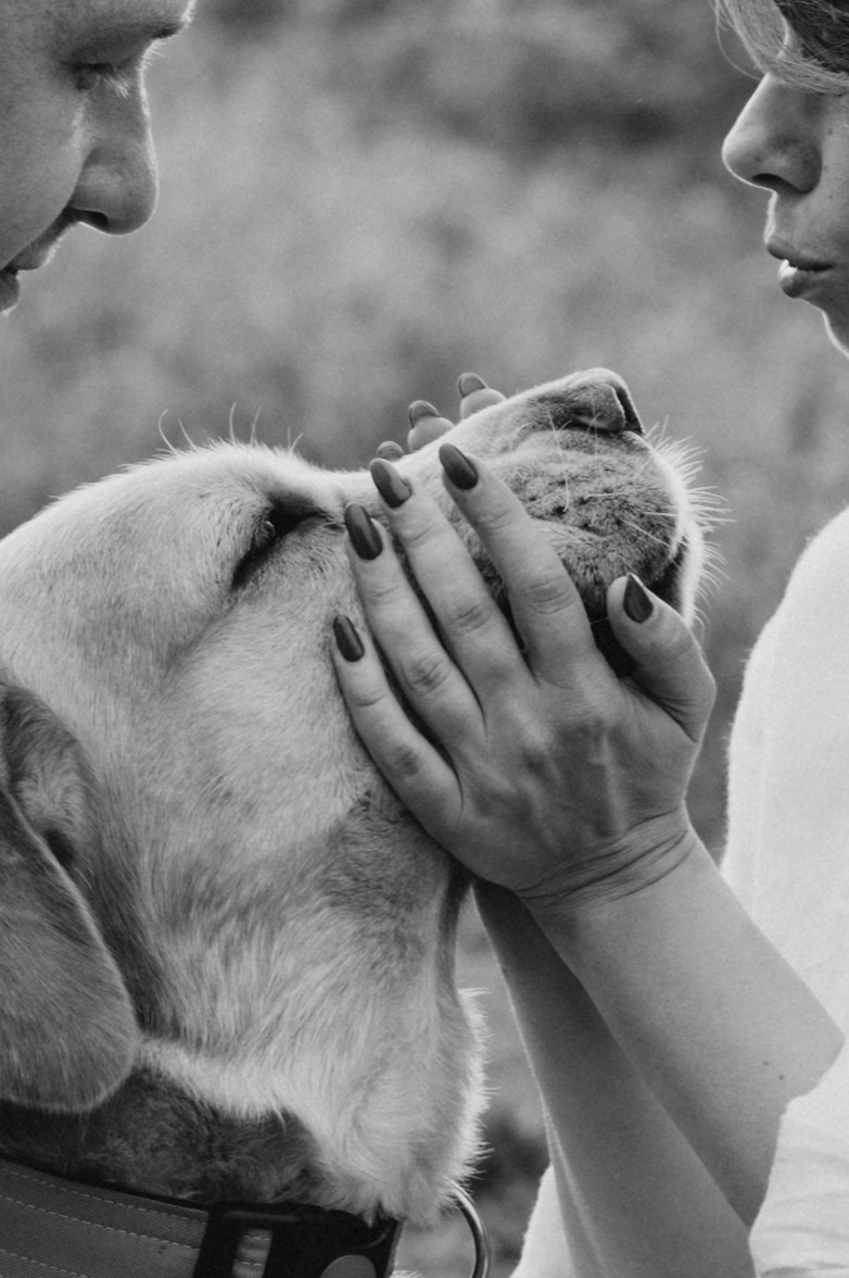 Сімейна фотосесія на природі, зйомка з собакою, фотосесія лавсторі Тернопіль. Сімейний, дитячий та індивідуальний фотограф в м. Тернопіль, м. Львів