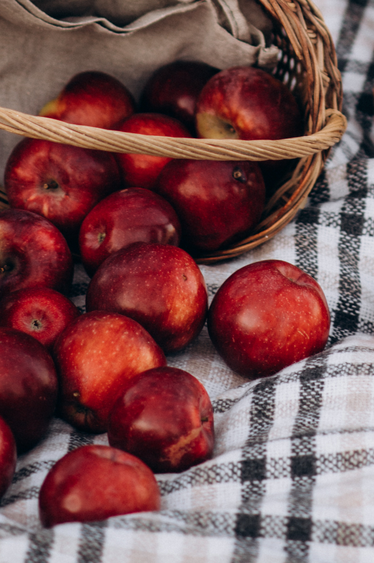 Сімейна фотосесія. Сімейний, дитячий та індивідуальний фотограф в м. Тернопіль, м. Львів