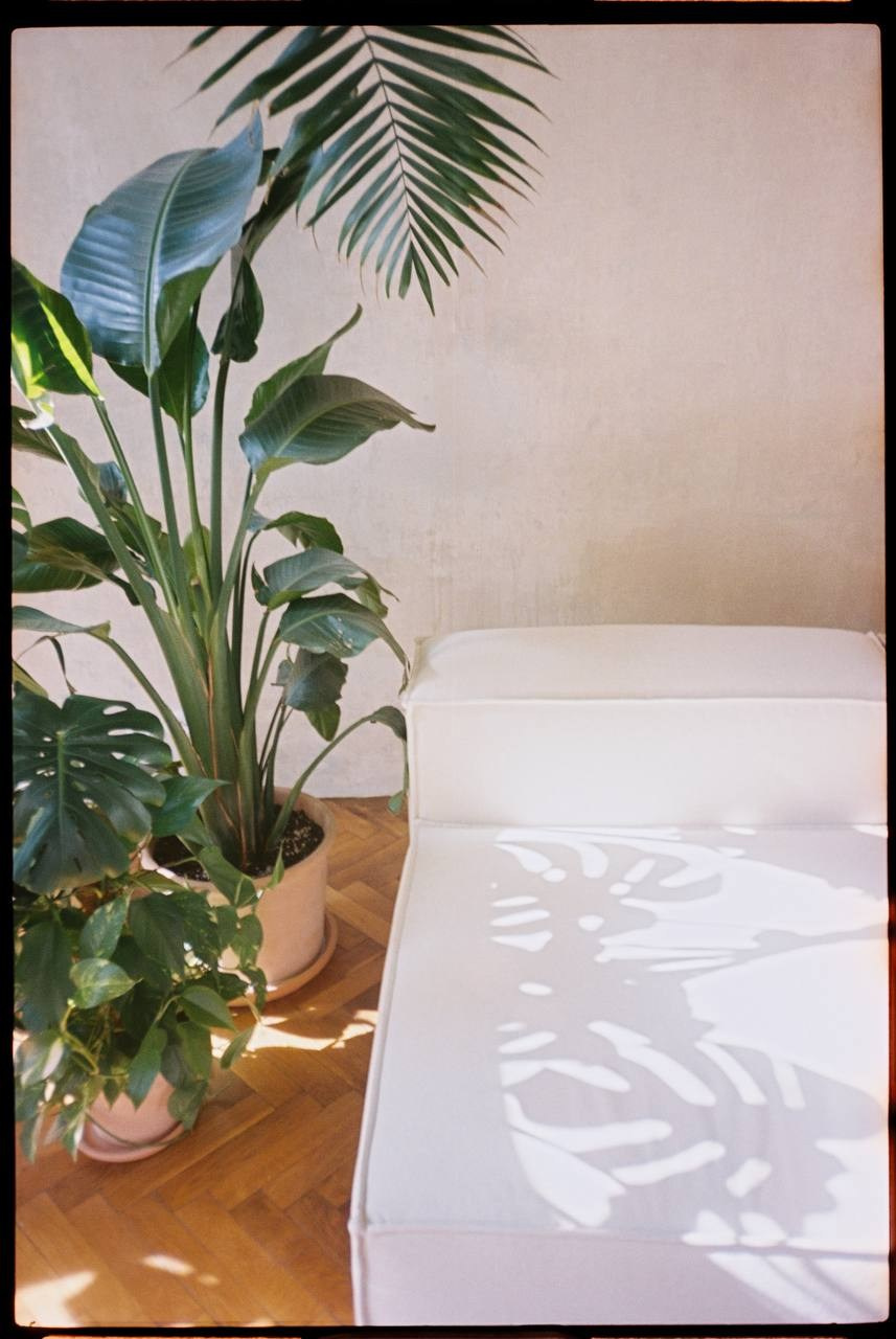 For Business. Family photography in Europe. Vienna, Bratislava, London, Dublin, Copenhagen, Amsterdam, Barcelona