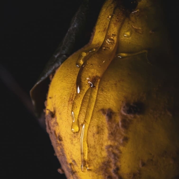 Food photo. My name is Irina I am a family and portrait photographer