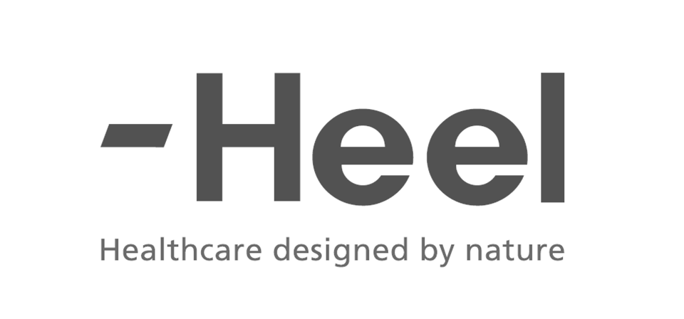 Medical Illustrator Portfolio | Freelance Medical Art for Healthcare. Professional freelance medical illustrator