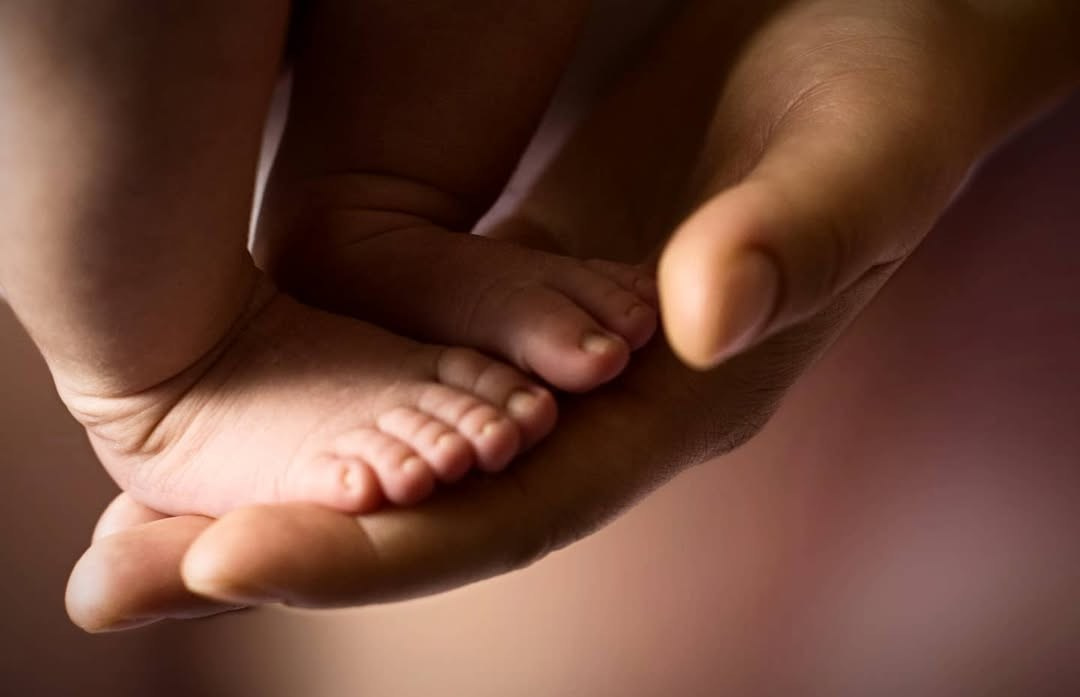 Коля. Family photographer