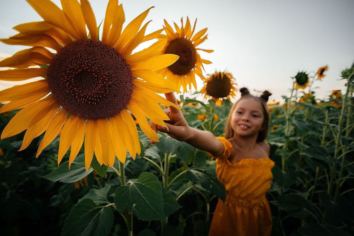 Летние фотосессии на природе ждут Вас. Фотограф в Запоріжжі та Європі