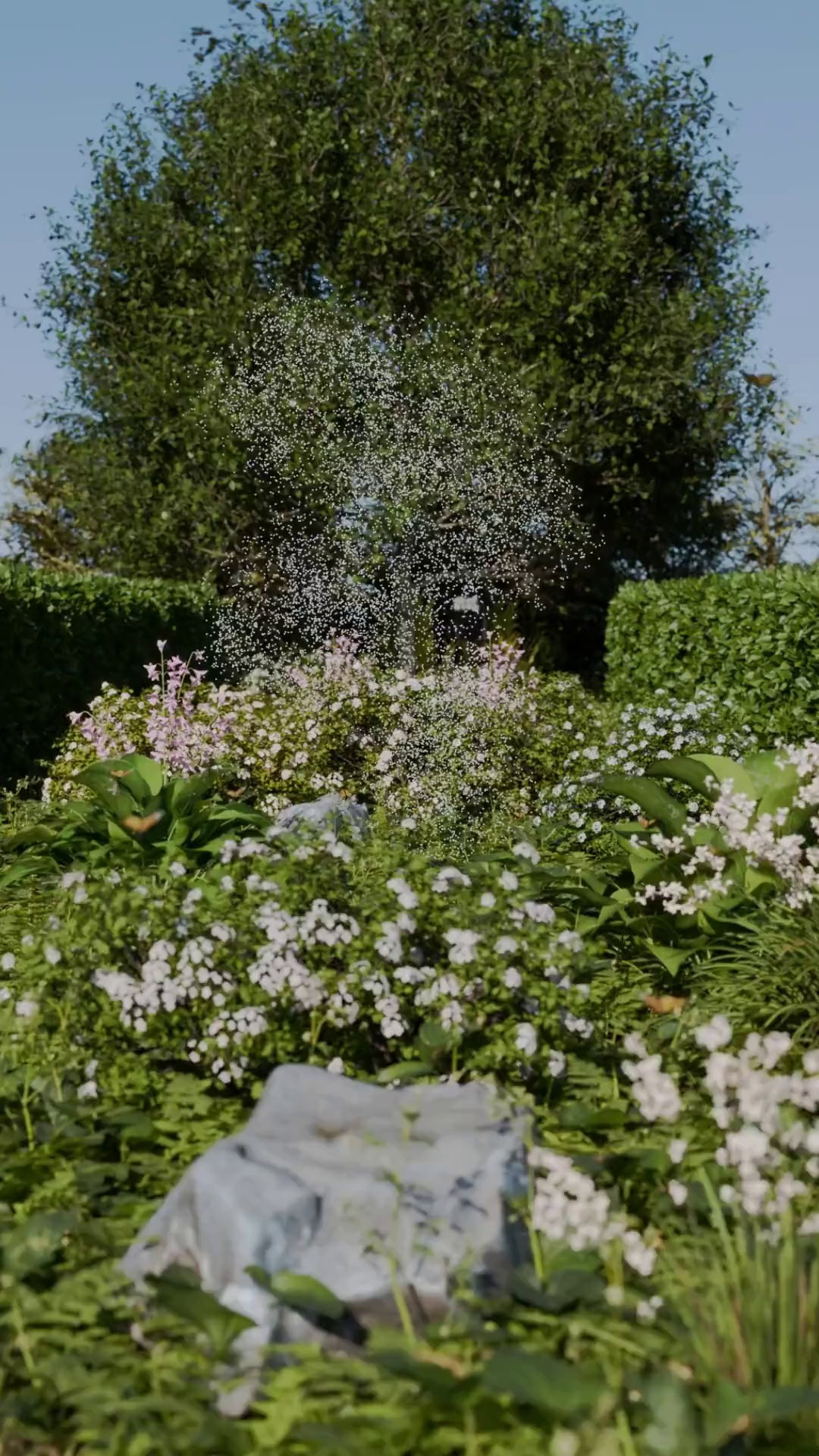 3D-motion. Main