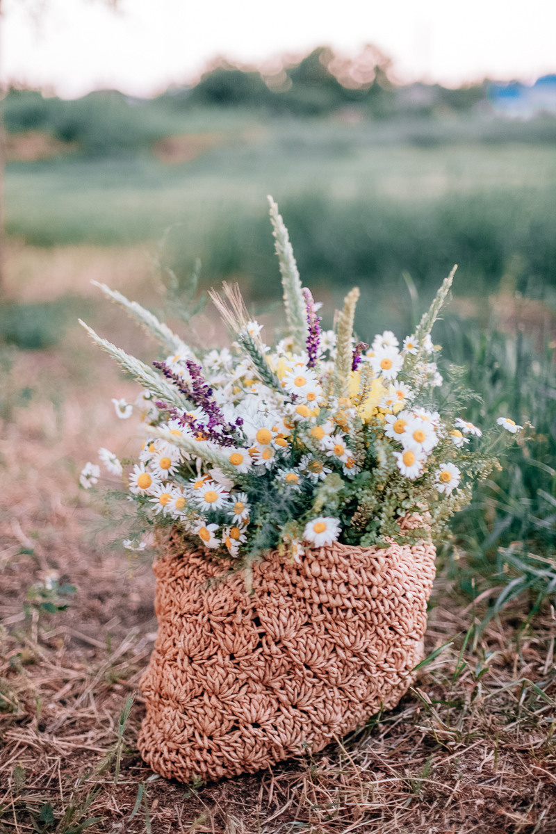 Field sunset. Diana Di — private photo editor for photographers