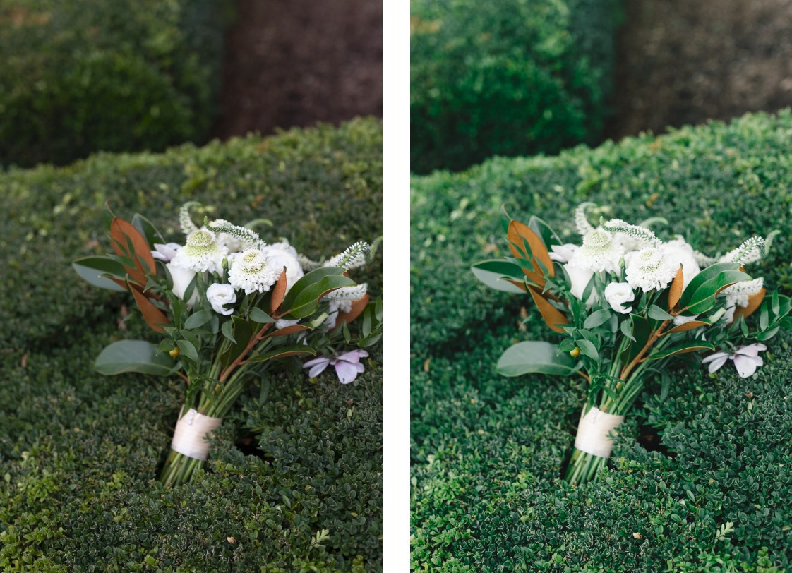 Photo editing and retouching services |. Diana Di — private photo editor for photographers